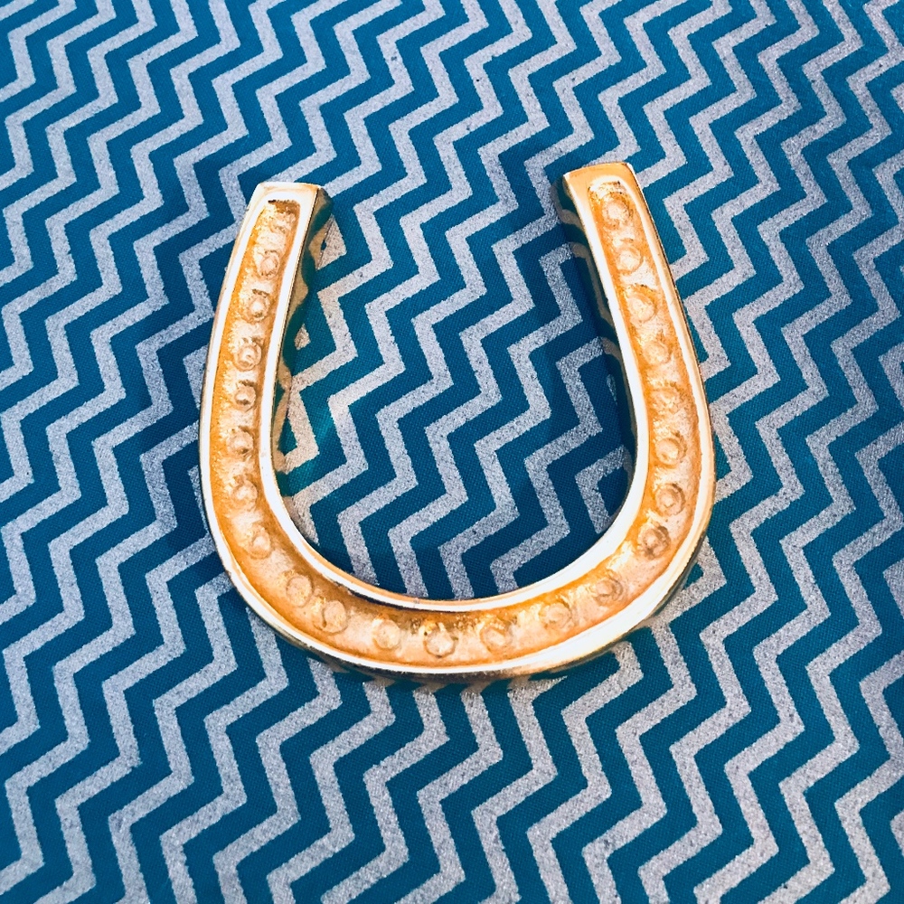 Lucky Horseshoe Brass Paperweight